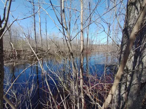 View/Area - 515 S Hawkins, Gladwin, MI 48624 photo 2 of 3