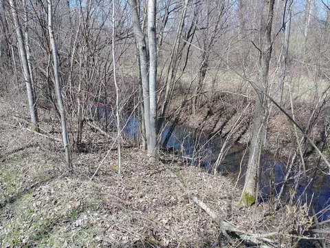 Other - 515 S Hawkins, Gladwin, MI 48624 photo 20 of 23