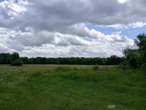 Exterior - 515 S Hawkins, Gladwin, MI 48624 photo 6 of 13