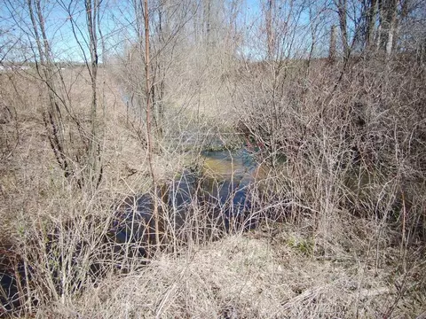 View/Area - 515 S Hawkins, Gladwin, MI 48624 photo 3 of 3