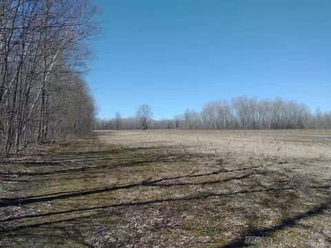 Other - 515 S Hawkins, Gladwin, MI 48624 photo 11 of 23