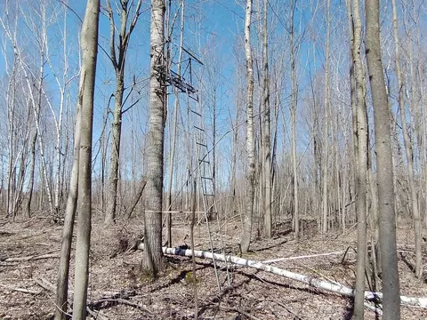 Other - 515 S Hawkins, Gladwin, MI 48624 photo 13 of 23