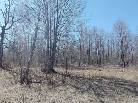 Exterior - 515 S Hawkins, Gladwin, MI 48624 photo 10 of 13