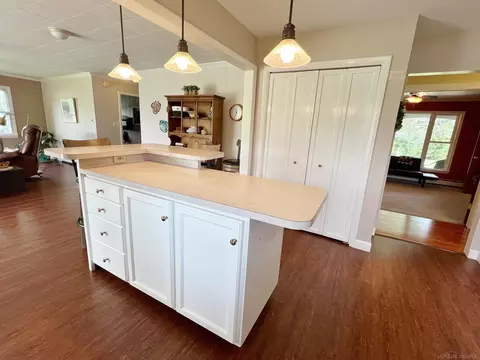 5708 Walker Rd, Applegate, MI 48401 photo 8
