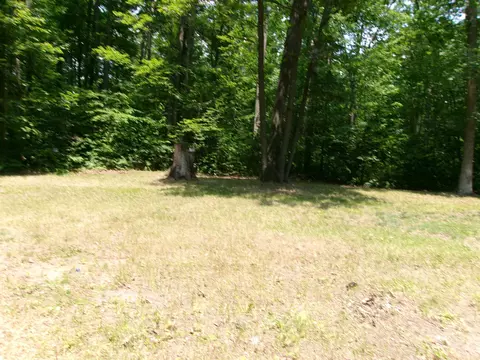 379 E Clarence, Harrison, MI 48625 photo 39