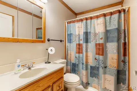 915 W Maple, Adrian, MI 49221 photo 13