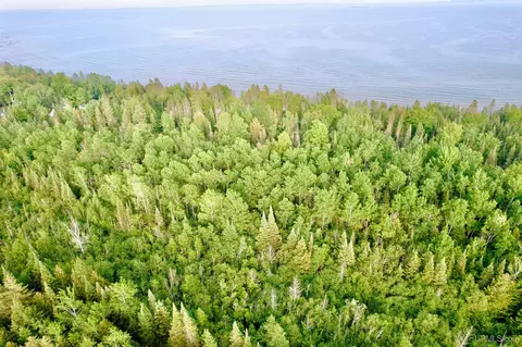 40 Acres At Tbd Mirons 168, Rapid River, MI 49878