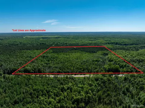 Tbd M67, Trenary, MI 49816