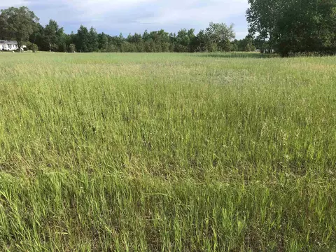 lot37 Gravel, Farwell, MI 48622