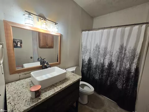 Bath - 223 N Main, Bancroft, MI 48414 photo 1 of 5