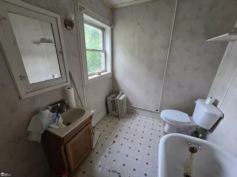 Bath - 223 N Main, Bancroft, MI 48414 photo 3 of 5