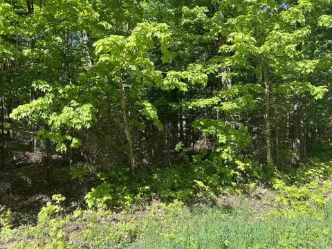 tbd County Rd 510 #LOT 5, Negaunee, MI 49866