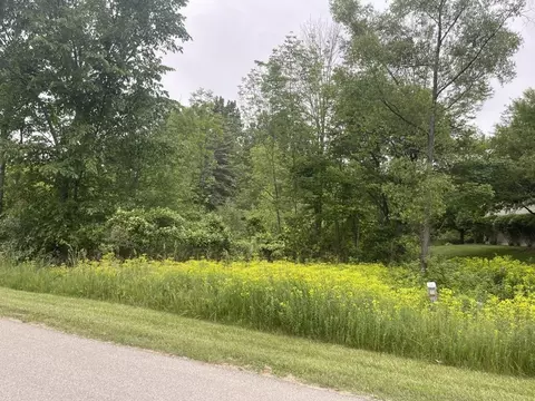 193 Greensboro, Gladwin, MI 48624 photo 4