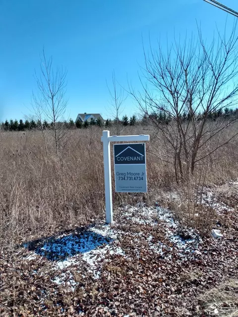 0 Lewis, Ida, MI 48140