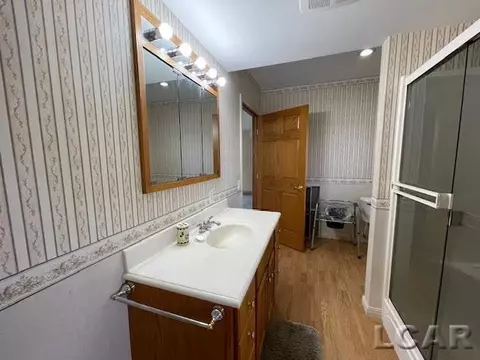 14056 Tomer, Hudson, MI 49247 photo 26