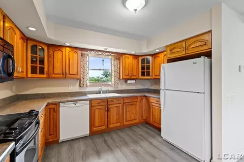 14056 Tomer, Hudson, MI 49247 photo 18