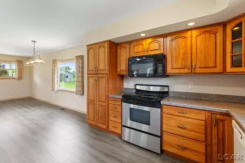 14056 Tomer, Hudson, MI 49247 photo 16