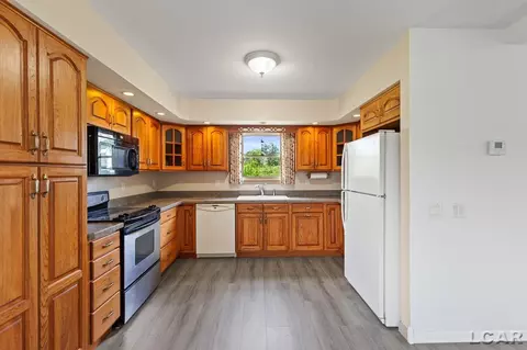 14056 Tomer, Hudson, MI 49247 photo 14