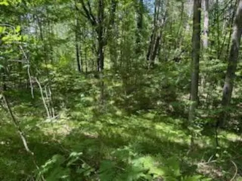 lot116117118 Donna, Lake, MI 48632