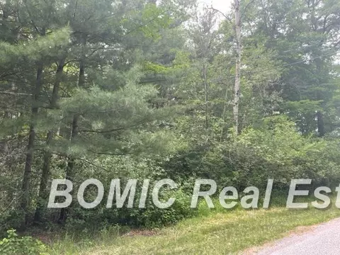 9676 Marshall, Birch Run, MI 48415 photo 3