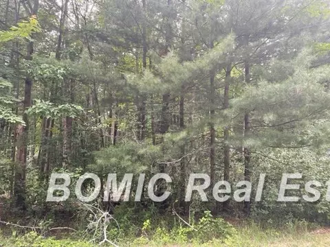 9676 Marshall, Birch Run, MI 48415 photo 2