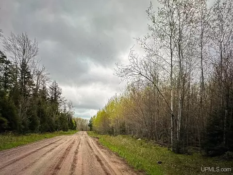 Tbd Beartown, Baraga, MI 49908