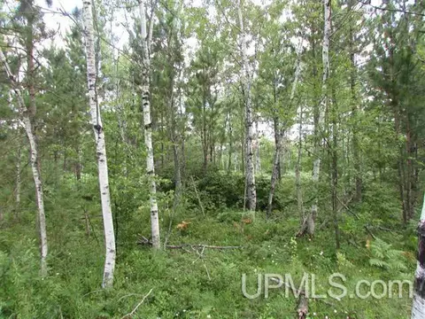 450 Paint Riv #LOT 6, Crystal Falls, MI 49920