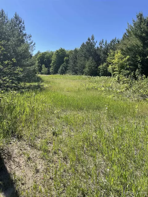 Tbd H15, Shingleton, MI 49884