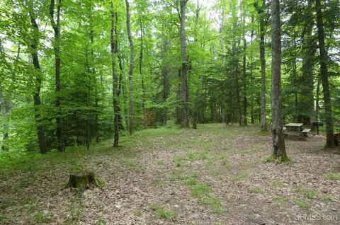 47 E 3, Seney, MI 49883 photo 21