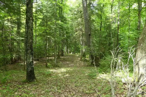 47 E 3, Seney, MI 49883 photo 27