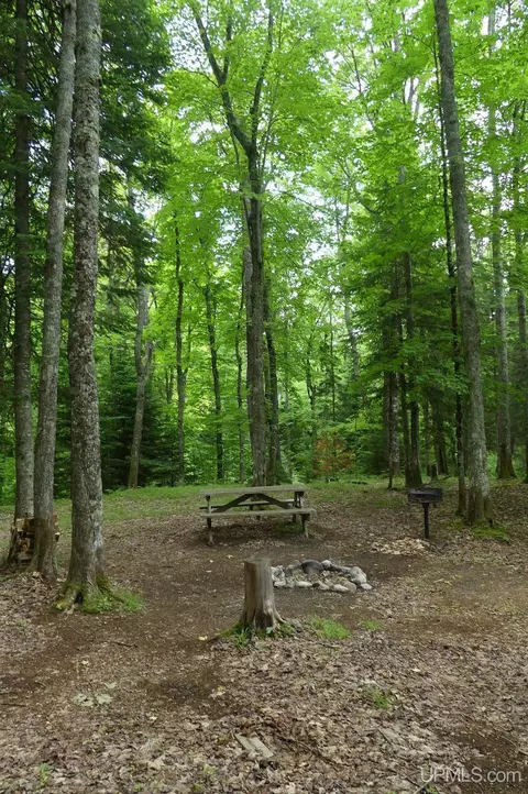 47 E 3, Seney, MI 49883 photo 15