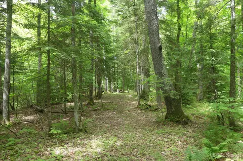 47 E 3, Seney, MI 49883 photo 26