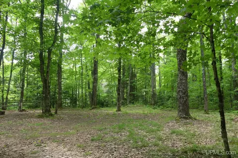 47 E 3, Seney, MI 49883 photo 18