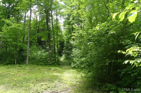 47 E 3, Seney, MI 49883 photo 10