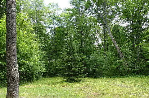 47 E 3, Seney, MI 49883 photo 11