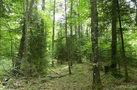 47 E 3, Seney, MI 49883 photo 25
