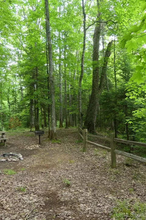 47 E 3, Seney, MI 49883 photo 16