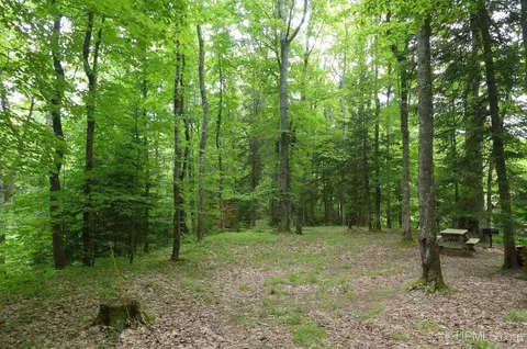 47 E 3, Seney, MI 49883 photo 20