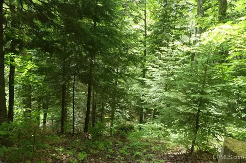47 E 3, Seney, MI 49883 photo 13