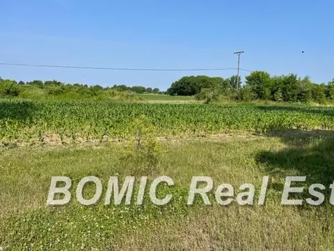 Lot M Kern, Reese, MI 48757