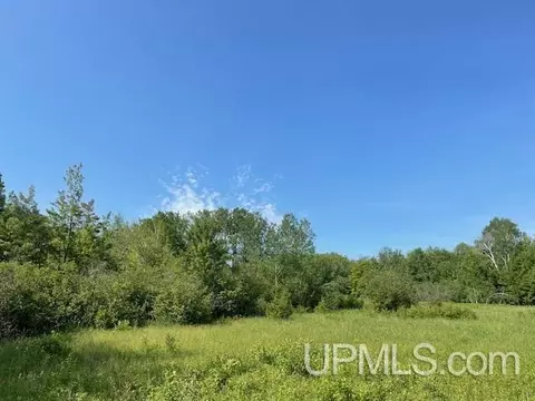 Tbds10 Lower Pike River, Chassell, MI 49916