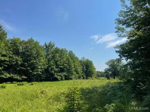 Tbd5d Lower Pike River, Chassell, MI 49916