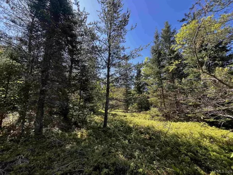 40 Acres Laramie, Gwinn, MI 49841