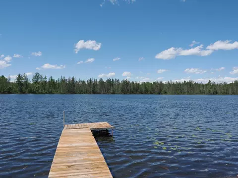 298 Armstrong Lk, Crystal Falls, MI 49920