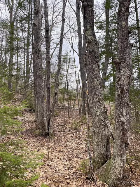 tbd County Rd Cu, Ishpeming, MI 49849 photo 7