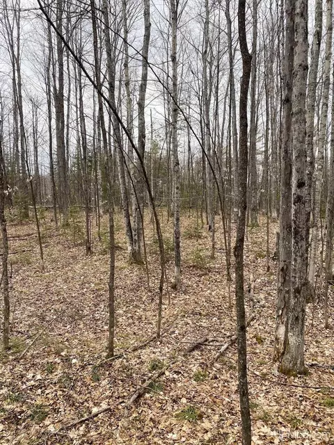 tbd County Rd Cu, Ishpeming, MI 49849 photo 24