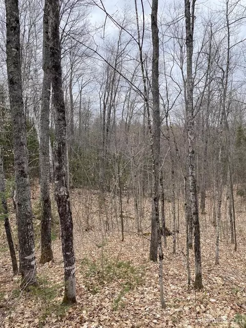 tbd County Rd Cu, Ishpeming, MI 49849 photo 16