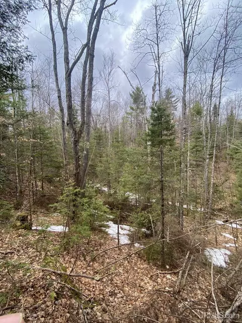 tbd County Rd Cu, Ishpeming, MI 49849 photo 18