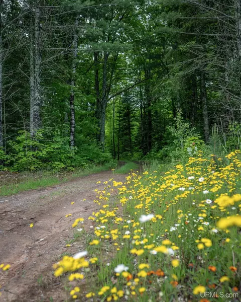 tbd County Rd Cu, Ishpeming, MI 49849 photo 6