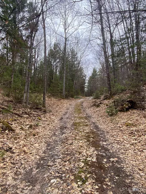 tbd County Rd Cu, Ishpeming, MI 49849 photo 17